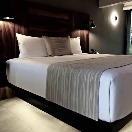 3 Incredible King Suite Rooms In Boutique Hotel San Jose del Cabo Exterior photo