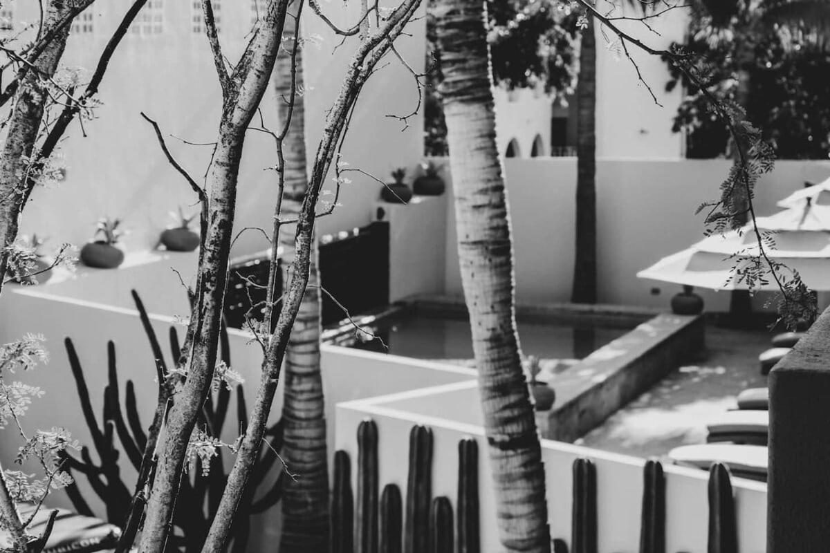 3 Incredible King Suite Rooms In Boutique Hotel San Jose del Cabo Exterior photo